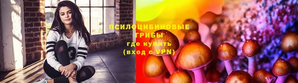 не бодяженный Арсеньев