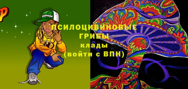 не бодяженный Арсеньев