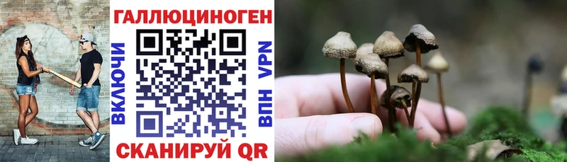 Галлюциногенные грибы мицелий kraken как войти Иркутск